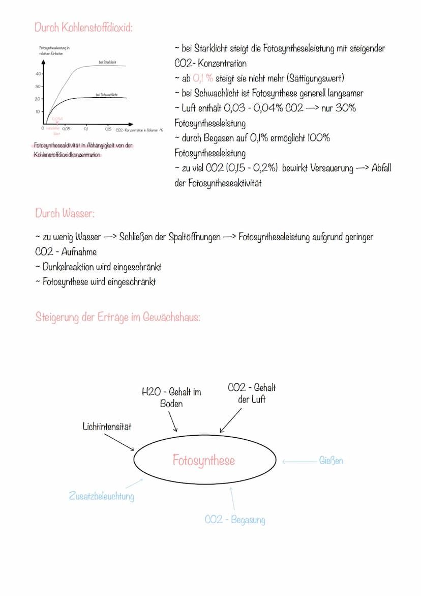 B
Durch Licht:
40-
10-
0
Fotosynthesleistung in
relativen Einheiten
30
r
20
20
40
Fotosyntheseleistung in
relativen Einheiten
403
30-
20-
10