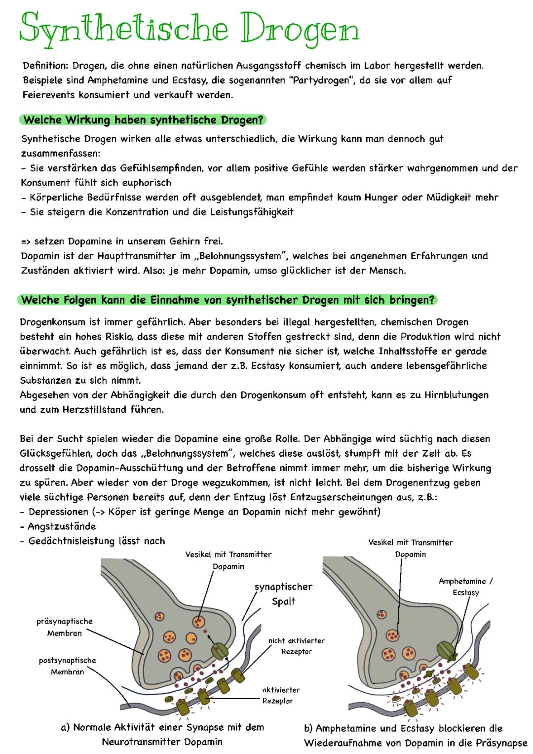 Wie wirken Dopamin-Drogen im Gehirn?