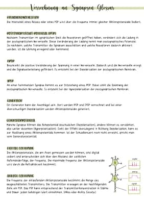 Know Verrechnung an Synapsen thumbnail