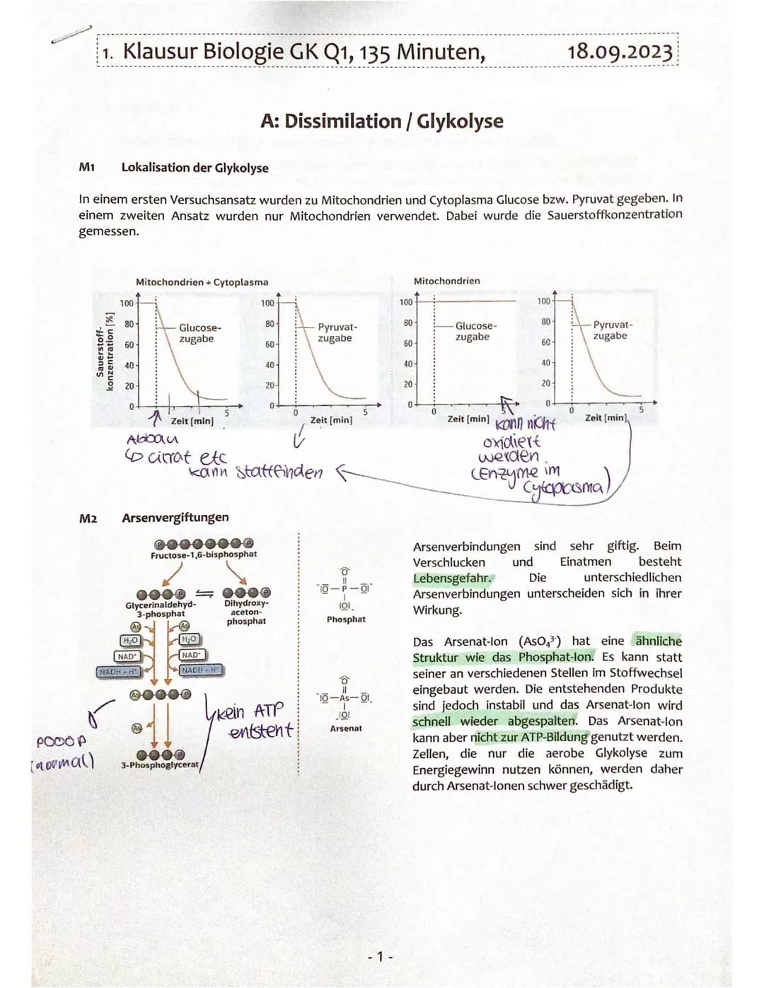 M1
1. Klausur Biologie GK Q1, 135 Minuten,
Lokalisation der Glykolyse
In einem ersten Versuchsansatz wurden zu Mitochondrien und Cytoplasma 