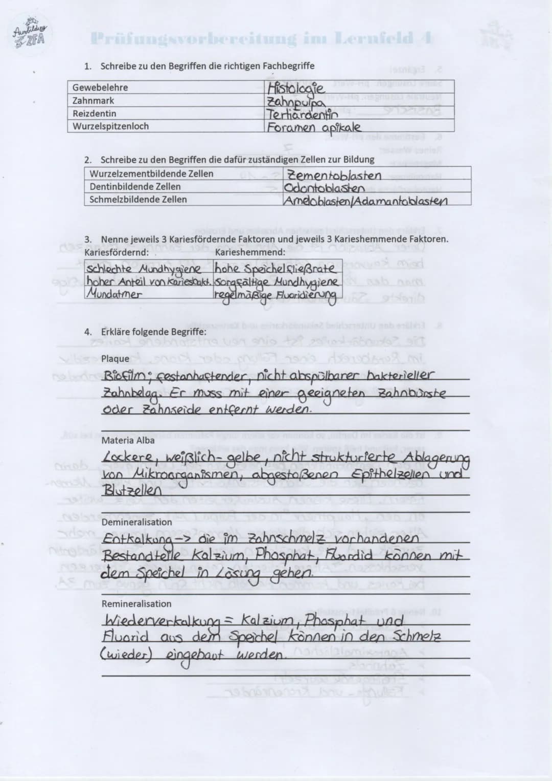 Ausbildung
ZFA
Prüfungsvorbereitung im Lernfeld 4
1. Schreibe zu den Begriffen die richtigen Fachbegriffe
Gewebelehre
Zahnmark
Reizdentin
Wu