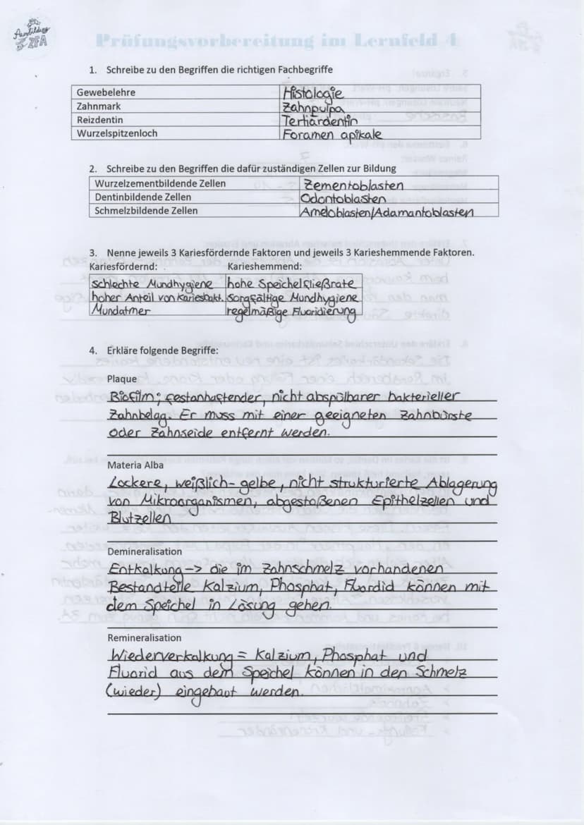 Ausbildung
ZFA
Prüfungsvorbereitung im Lernfeld 4
1. Schreibe zu den Begriffen die richtigen Fachbegriffe
Gewebelehre
Zahnmark
Reizdentin
Wu