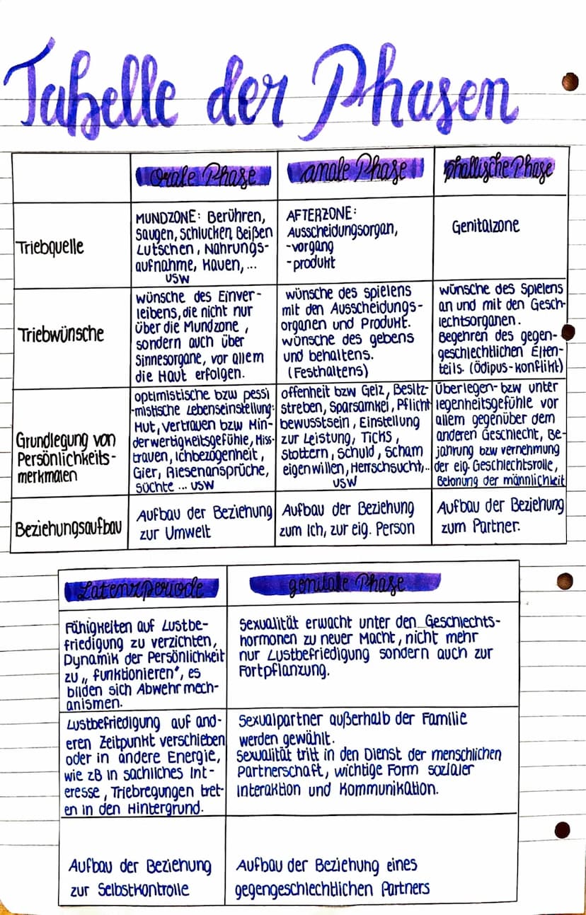 Die Orale Phase
•Erster lustgewinn → Mundzone
↳saugen, schlucken, beißen, Nahrungsaufnahme, lutschen
• wünsche des einverlebens nicht nur üb