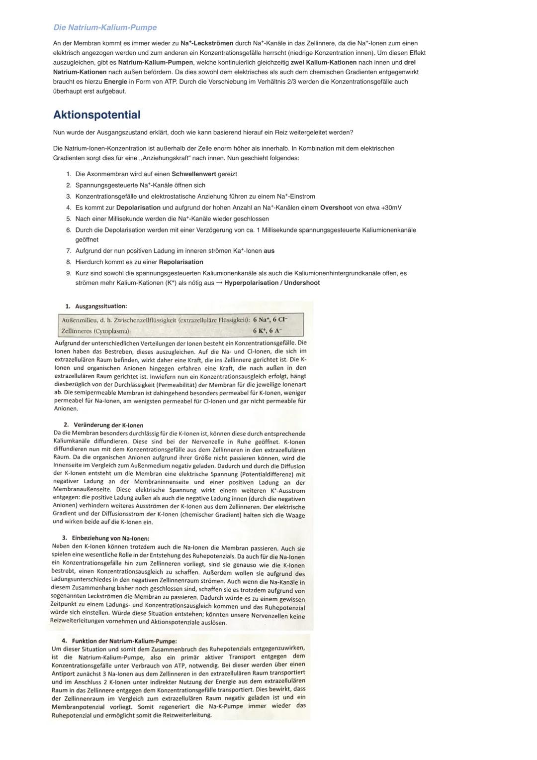 # 11/1 Nervensystem

Aufbau
- gegliedert in Zentralnervensystem (Gehirn und
Rückenmark) und peripheres Nervensystem
- somatisches NS: willkü