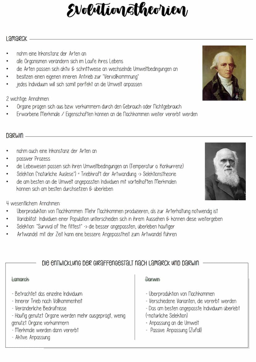Biologie
EVOLUTION Evolution
Grundlagen evolutiver Verände-
rung
Art und Artbildung
Evolution und Verhalten
Evolution des Menschen
Stammbäum