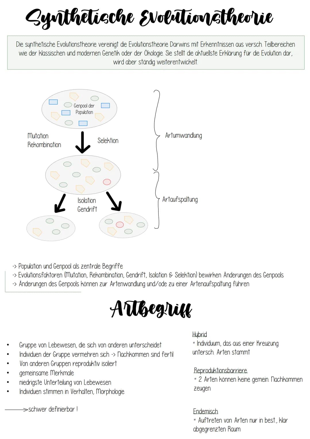 Biologie
EVOLUTION Evolution
Grundlagen evolutiver Verände-
rung
Art und Artbildung
Evolution und Verhalten
Evolution des Menschen
Stammbäum