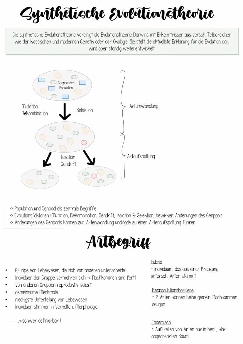 Biologie
EVOLUTION Evolution
Grundlagen evolutiver Verände-
rung
Art und Artbildung
Evolution und Verhalten
Evolution des Menschen
Stammbäum