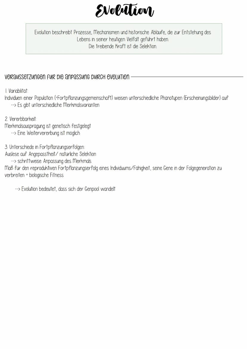 Biologie
EVOLUTION Evolution
Grundlagen evolutiver Verände-
rung
Art und Artbildung
Evolution und Verhalten
Evolution des Menschen
Stammbäum