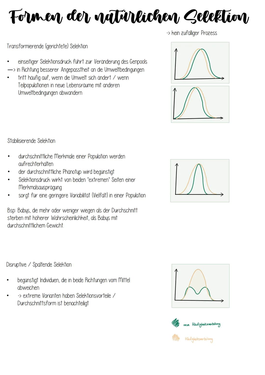 Biologie
EVOLUTION Evolution
Grundlagen evolutiver Verände-
rung
Art und Artbildung
Evolution und Verhalten
Evolution des Menschen
Stammbäum