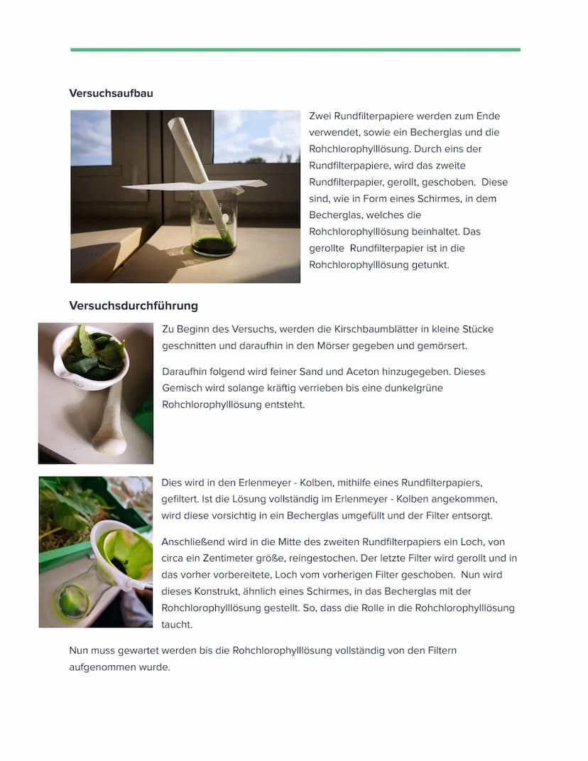 Naturwissenschaftliches Versuchsprotokoll
Name des Protokollanten
12 Bio 1
Name des Lehrers
Nachweis von Blattfarbstoffen/Photosynthesepigme