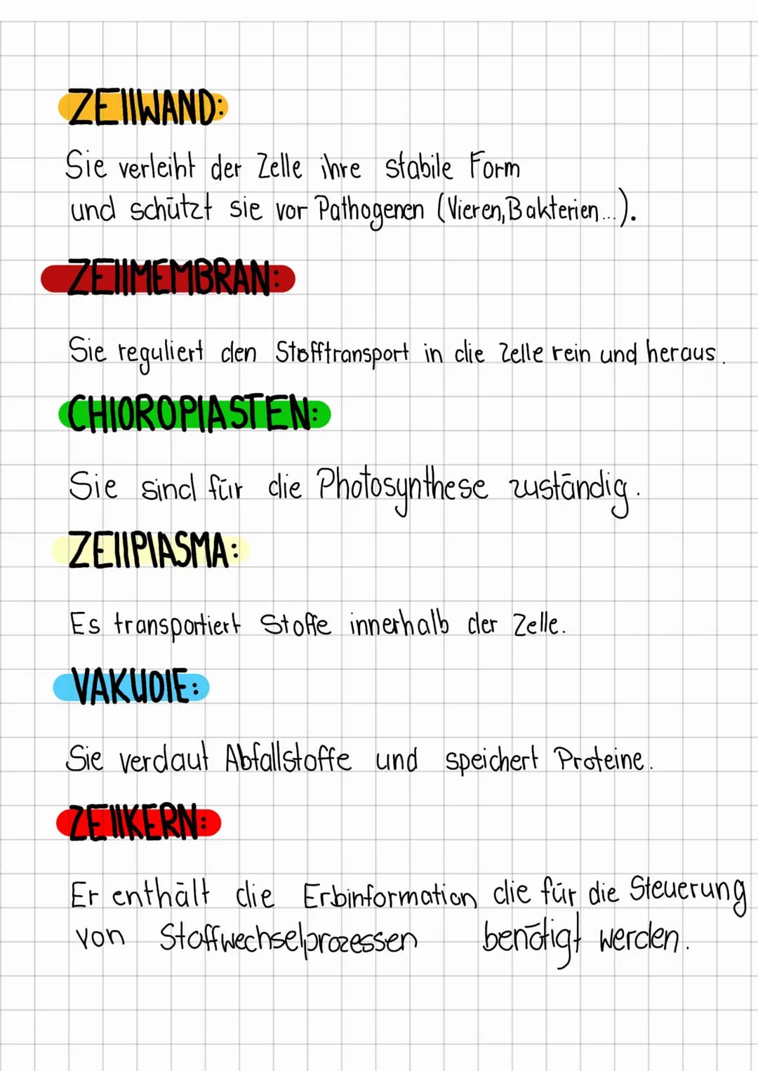 Chloroplasten
Zemembran
ZelPlasma
PFLANZEN
ZELLE
M
oo
1000
Zellwand
Ooo
ZellSaft-VAKUOLE
Zellkern ZEIIWAND:
Sie verleiht der Zelle ihre stab