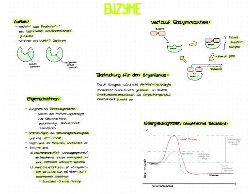 Know Enzyme thumbnail