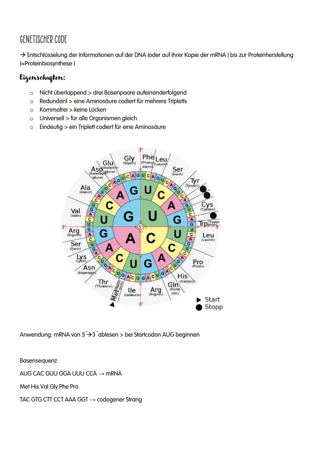 1.GENETIK
O DNA
o Replikation
O Proteinbiosynthese
o Genetischer Code
O Proteine
o Bau und Vermehrung von Viren
o Bau und Vermehrung von Bak