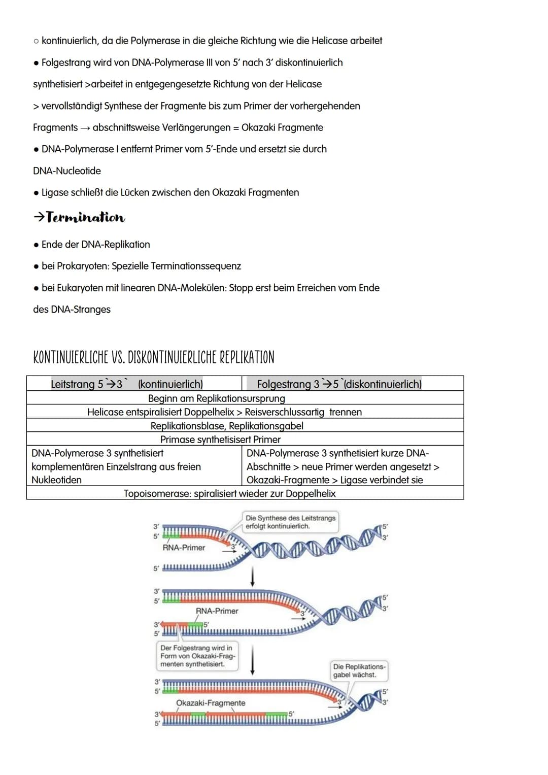 1.GENETIK
O DNA
o Replikation
O Proteinbiosynthese
o Genetischer Code
O Proteine
o Bau und Vermehrung von Viren
o Bau und Vermehrung von Bak