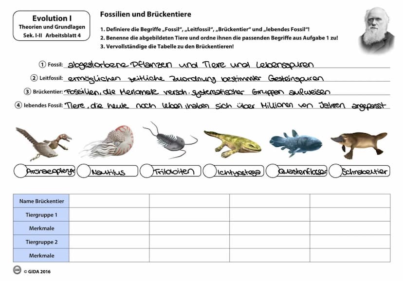 EVOLUTION Evolutionstheorien
Name
(Lebensdaten)
Besondere Bedeutung
Veröffentlichung
(Jahr)
Zentrale Aussagen
Arten konstant?
Carl von Linné