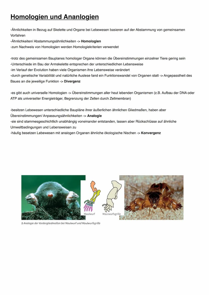 EVOLUTION Evolutionstheorien
Name
(Lebensdaten)
Besondere Bedeutung
Veröffentlichung
(Jahr)
Zentrale Aussagen
Arten konstant?
Carl von Linné