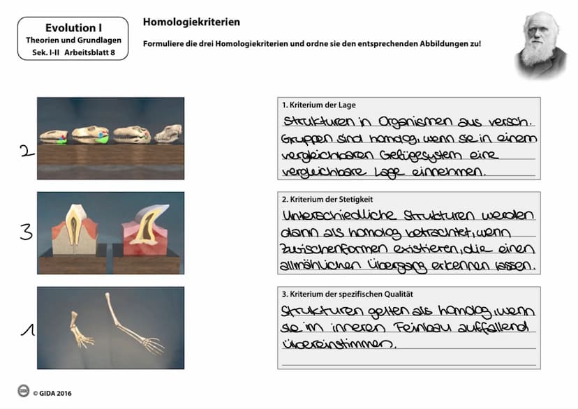 EVOLUTION Evolutionstheorien
Name
(Lebensdaten)
Besondere Bedeutung
Veröffentlichung
(Jahr)
Zentrale Aussagen
Arten konstant?
Carl von Linné