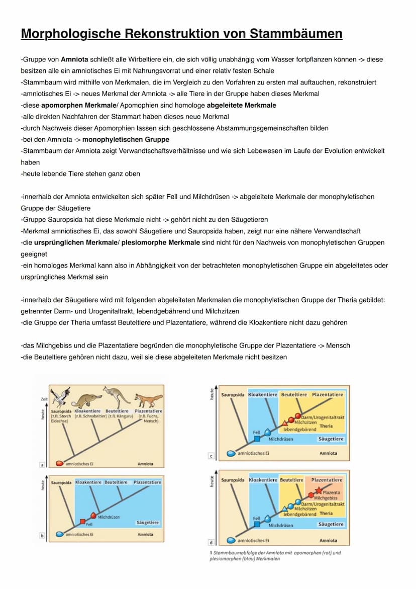 EVOLUTION Evolutionstheorien
Name
(Lebensdaten)
Besondere Bedeutung
Veröffentlichung
(Jahr)
Zentrale Aussagen
Arten konstant?
Carl von Linné