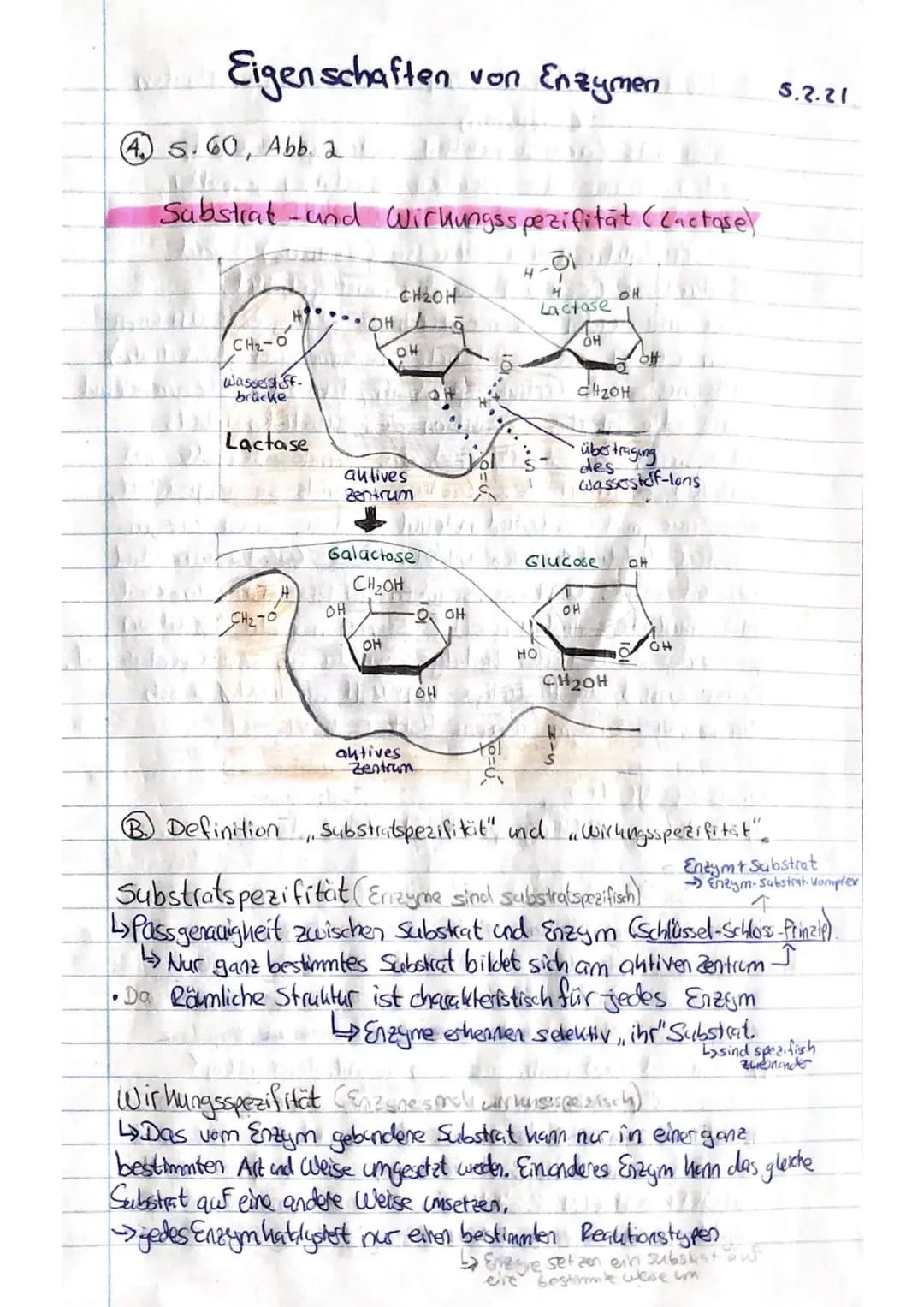 Eigenschaften von Enzymen
(4.) 5.60, Abb. 2
Substrat und
D
CH2Ó
Wasserstof-
brücke
Lactase
____2-5
wi
Wirkungsspezifität (Lactose)
OH
CH₂OH
