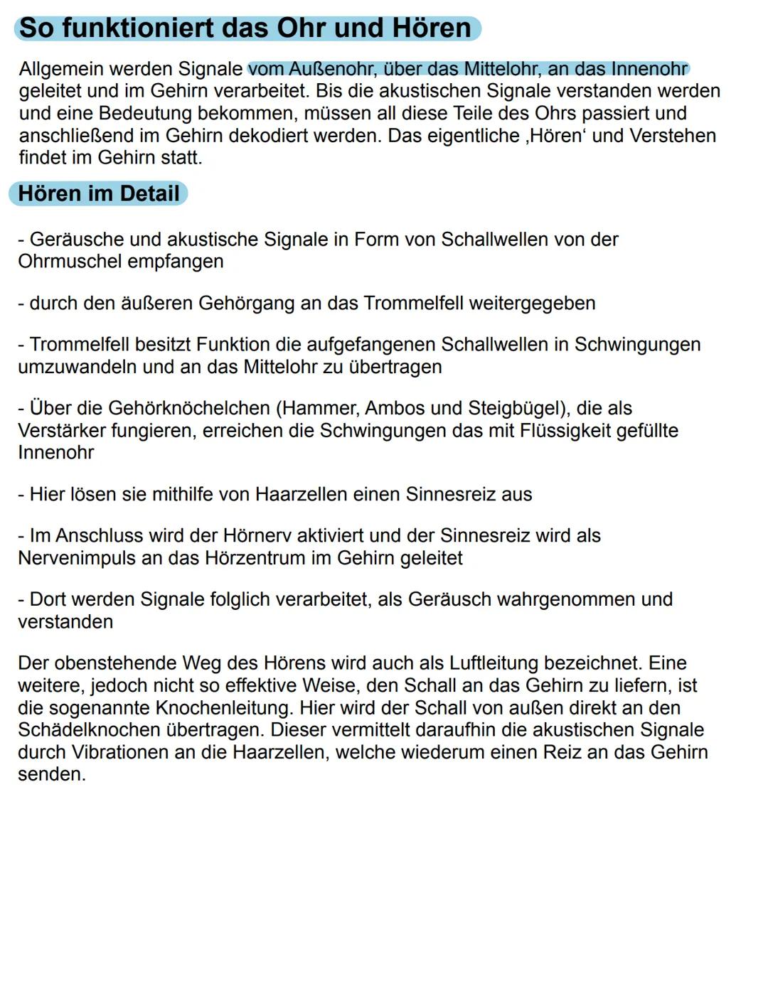 # Das Ohr

Das Ohr zählt zu einem der wichtigsten menschlichen Sinnesorgane und
Kommunikationsmittel. Seine Hauptaufgabe ist es Geräusche, S