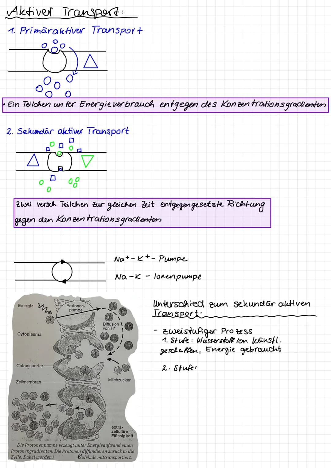 Passiv
• Diffusion = durch Eigenbewegung d. Teilchen (Braun'sche Mole-
kularbewegung) findet ein Konzentrationsausgleich
.
.
9
Osmose (+
Akt