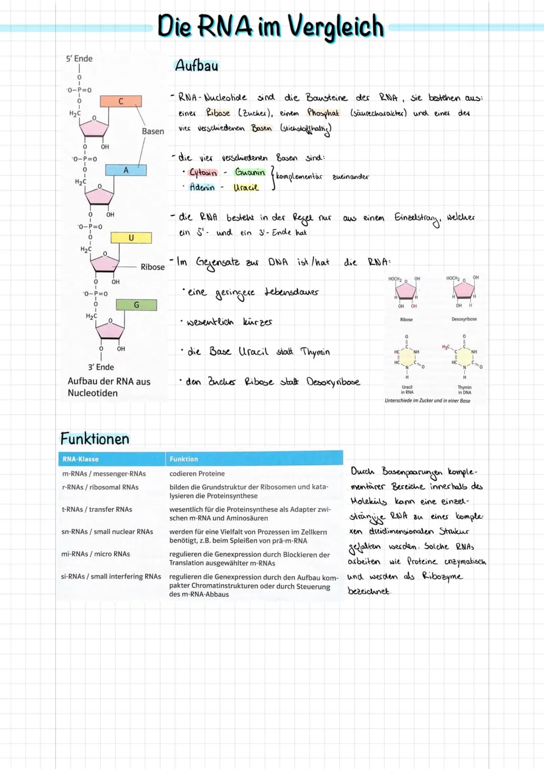 Doppel-Helix
(schematisch)
Adenin
Nucleotid
2 nm
Durch Verdich-
messer tung
DNA-
Desoxyribose
Wasserstoffbrücken
0-P-0
02
Phosphat
Purin
300