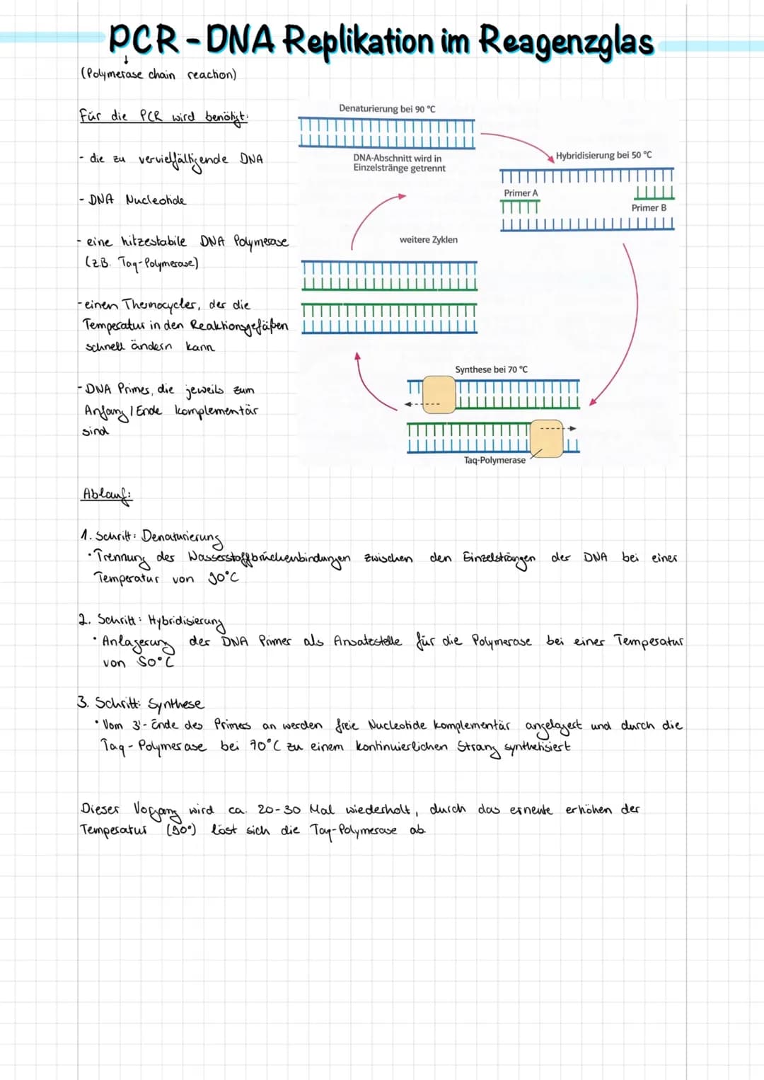 Doppel-Helix
(schematisch)
Adenin
Nucleotid
2 nm
Durch Verdich-
messer tung
DNA-
Desoxyribose
Wasserstoffbrücken
0-P-0
02
Phosphat
Purin
300