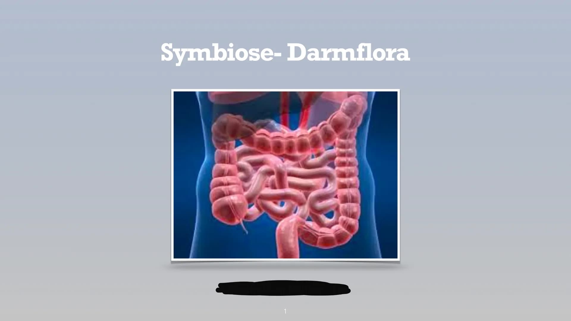 Symbiose- Darmflora
添 Handout Biologie: Symbiose Darmflora
Gliederung:
1. Was ist eigentlich Darmflora?
2. Funktionen, Zusammensetzung der D