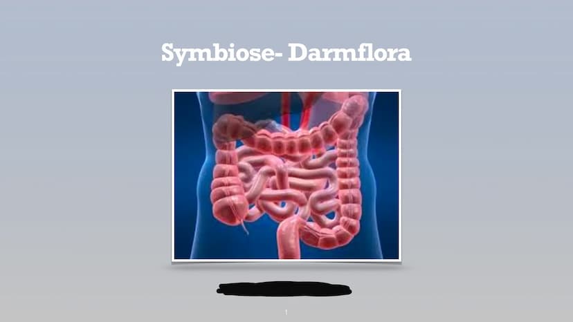 Symbiose- Darmflora
添 Handout Biologie: Symbiose Darmflora
Gliederung:
1. Was ist eigentlich Darmflora?
2. Funktionen, Zusammensetzung der D