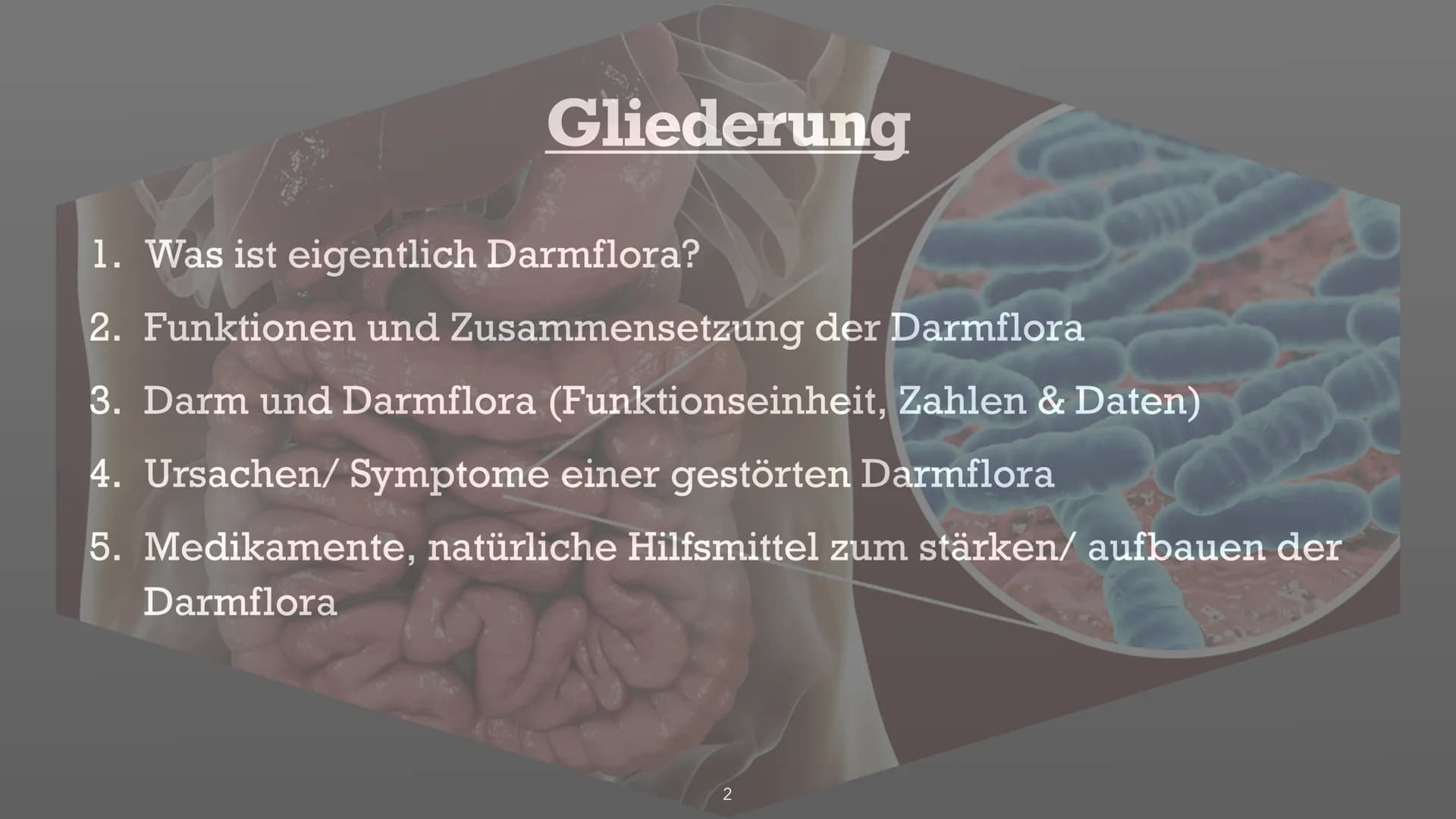 Symbiose- Darmflora
添 Handout Biologie: Symbiose Darmflora
Gliederung:
1. Was ist eigentlich Darmflora?
2. Funktionen, Zusammensetzung der D
