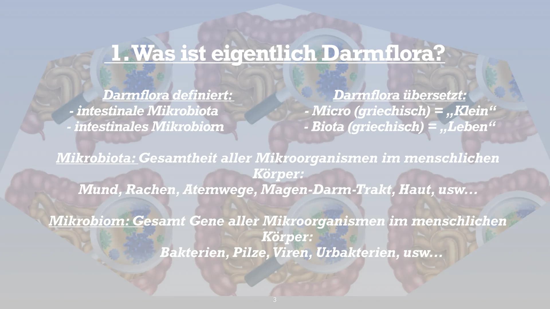 Symbiose- Darmflora
添 Handout Biologie: Symbiose Darmflora
Gliederung:
1. Was ist eigentlich Darmflora?
2. Funktionen, Zusammensetzung der D