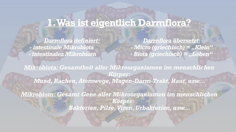 Symbiose- Darmflora
添 Handout Biologie: Symbiose Darmflora
Gliederung:
1. Was ist eigentlich Darmflora?
2. Funktionen, Zusammensetzung der D