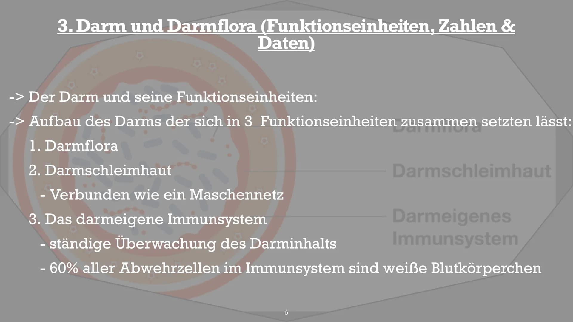 Symbiose- Darmflora
添 Handout Biologie: Symbiose Darmflora
Gliederung:
1. Was ist eigentlich Darmflora?
2. Funktionen, Zusammensetzung der D