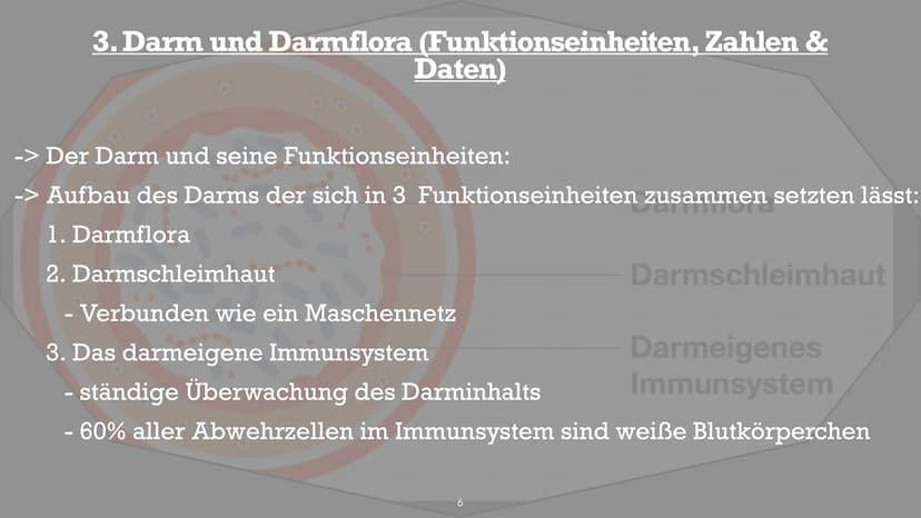 Symbiose- Darmflora
添 Handout Biologie: Symbiose Darmflora
Gliederung:
1. Was ist eigentlich Darmflora?
2. Funktionen, Zusammensetzung der D