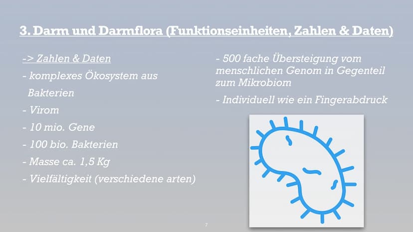Symbiose- Darmflora
添 Handout Biologie: Symbiose Darmflora
Gliederung:
1. Was ist eigentlich Darmflora?
2. Funktionen, Zusammensetzung der D