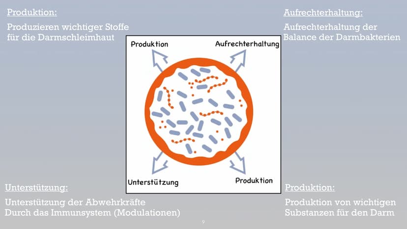Symbiose- Darmflora
添 Handout Biologie: Symbiose Darmflora
Gliederung:
1. Was ist eigentlich Darmflora?
2. Funktionen, Zusammensetzung der D