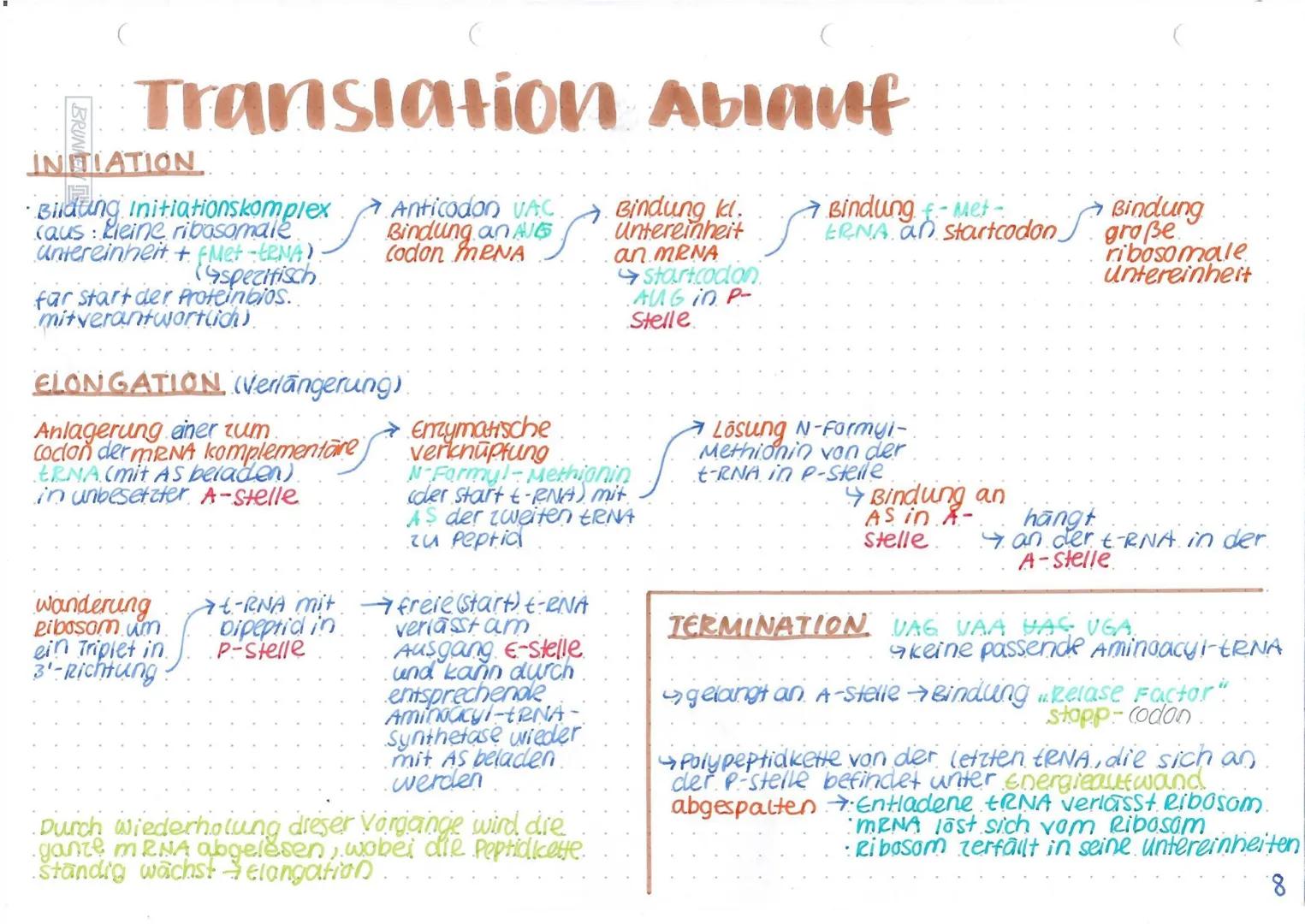 Gesamtheit genetisches.
Material. Genom
sehr stabil
(+Reperatur-
system.
Sschutz
var. Veran:
derungen)
Sverein 2
gegensatzliche
Eigenschafte