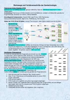 Know Gentechnologie: PCR, Genetischer Fingerabdruck, Gentransfer/ Genübertragung mittels Vektor thumbnail