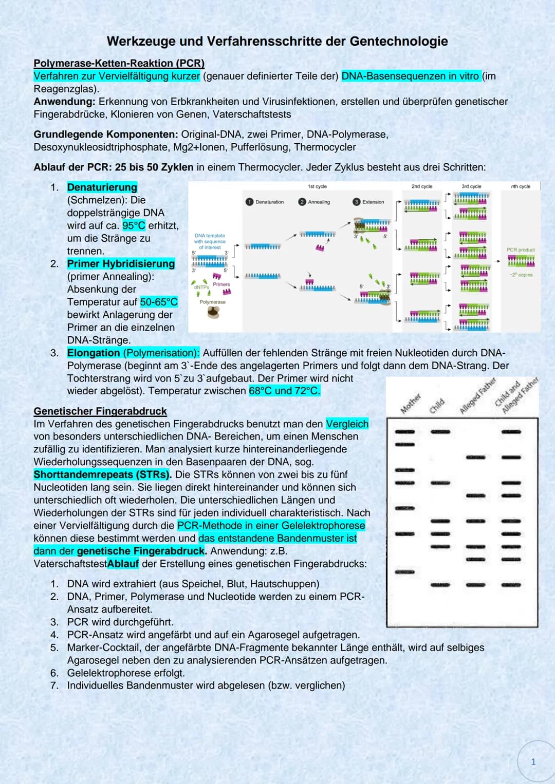 Werkzeuge und Verfahrensschritte der Gentechnologie
Polymerase-Ketten-Reaktion
(PCR)
Verfahren zur Vervielfältigung kurzer (genauer definier