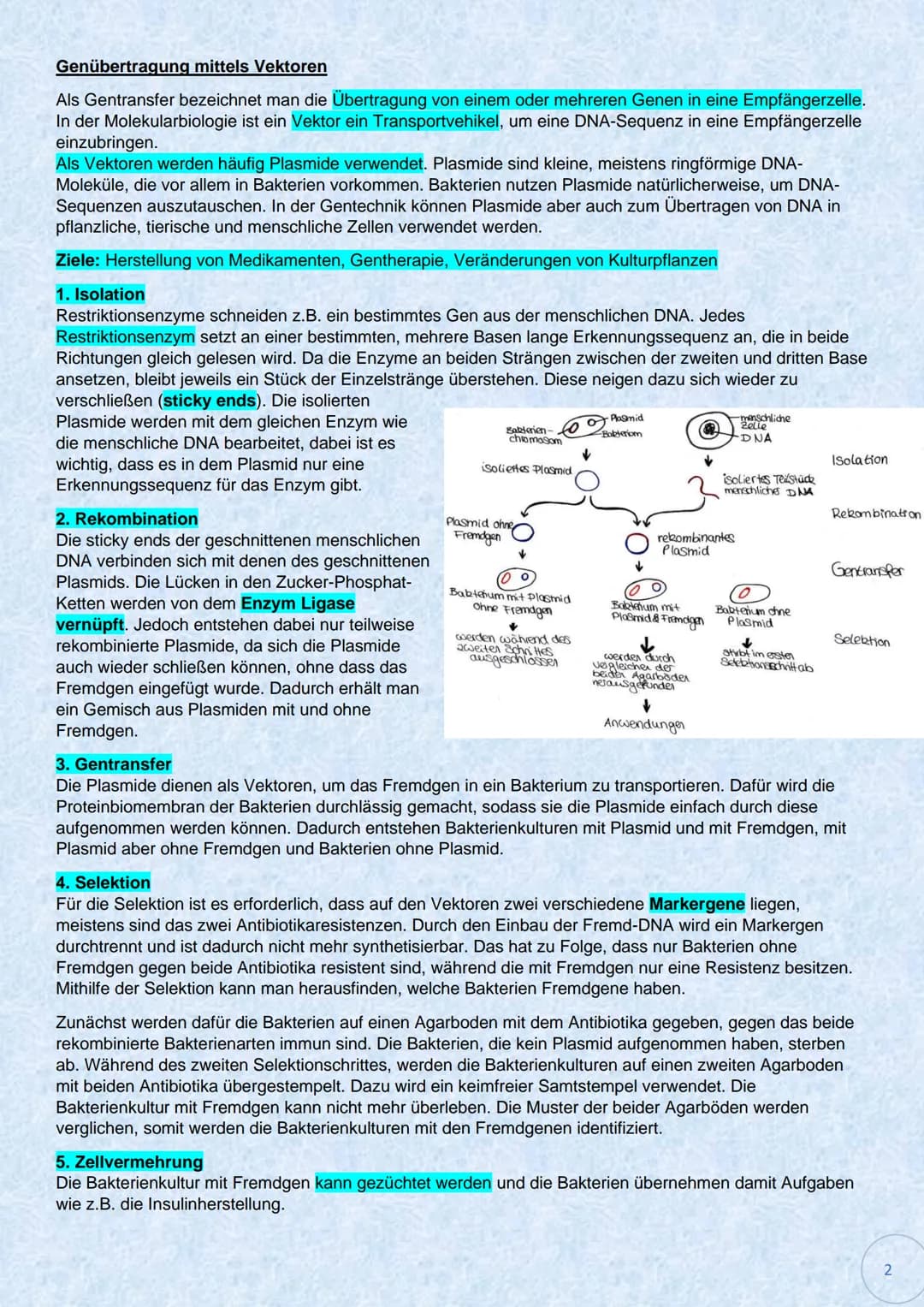 Werkzeuge und Verfahrensschritte der Gentechnologie
Polymerase-Ketten-Reaktion
(PCR)
Verfahren zur Vervielfältigung kurzer (genauer definier