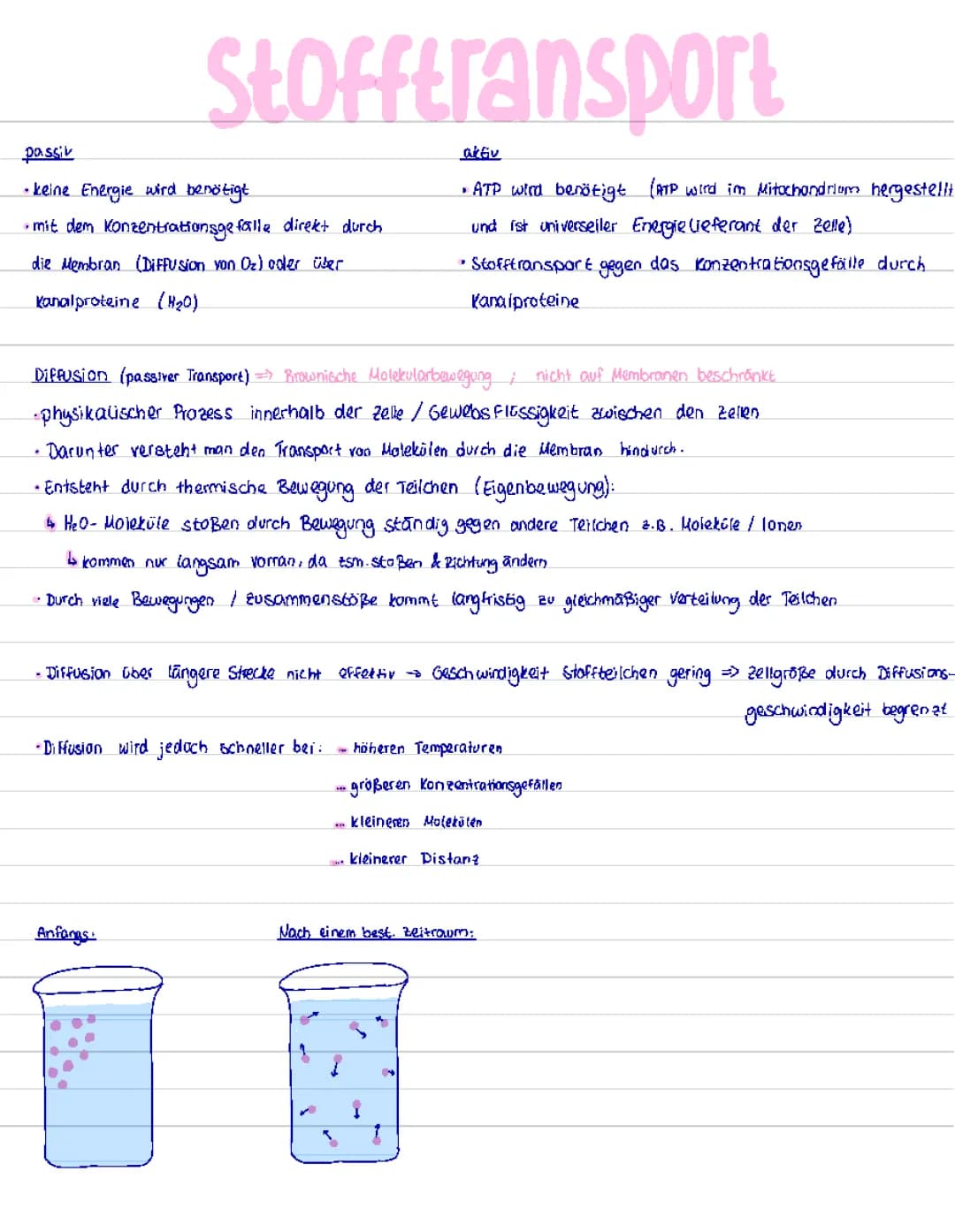 Osmose und Diffusion