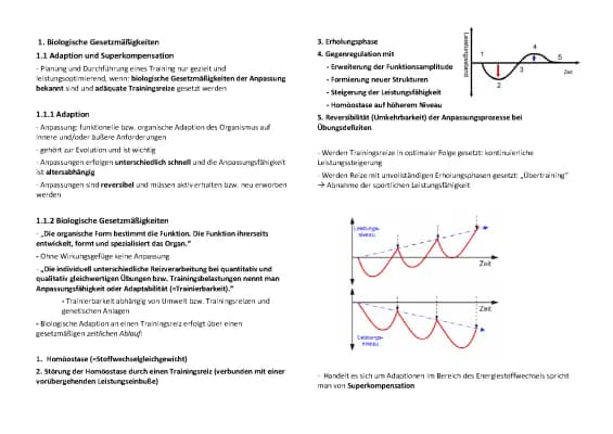 Know Weineck Sport Theorie Zusammenfassung Band 1+2 thumbnail