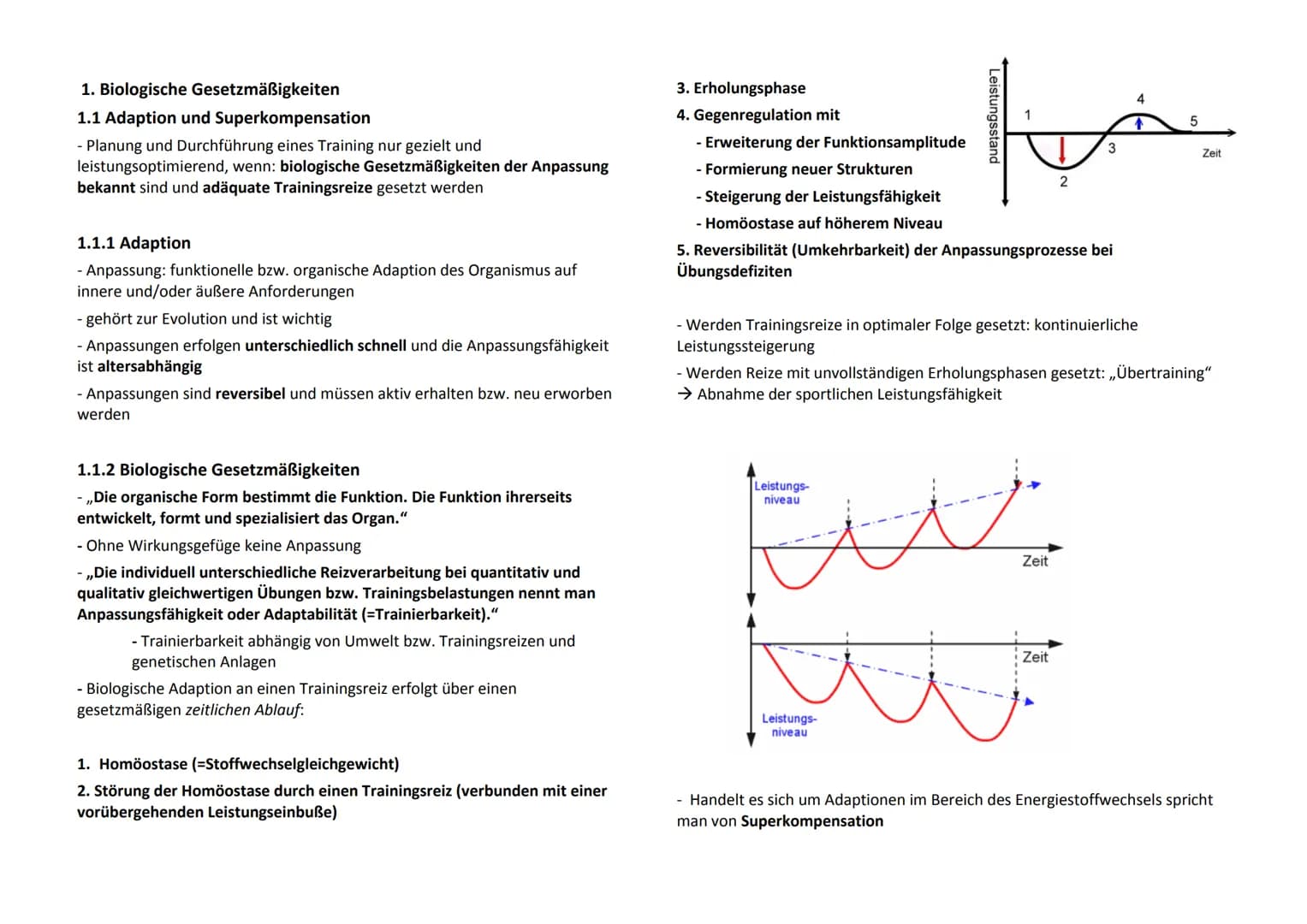 1. Biologische Gesetzmäßigkeiten
1.1 Adaption und Superkompensation
- Planung und Durchführung eines Training nur gezielt und
leistungsoptim
