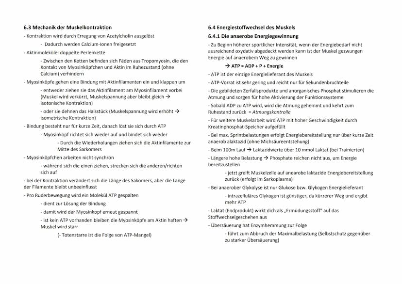 1. Biologische Gesetzmäßigkeiten
1.1 Adaption und Superkompensation
- Planung und Durchführung eines Training nur gezielt und
leistungsoptim