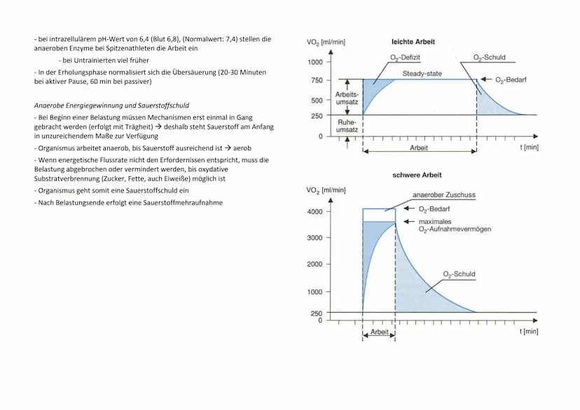 1. Biologische Gesetzmäßigkeiten
1.1 Adaption und Superkompensation
- Planung und Durchführung eines Training nur gezielt und
leistungsoptim