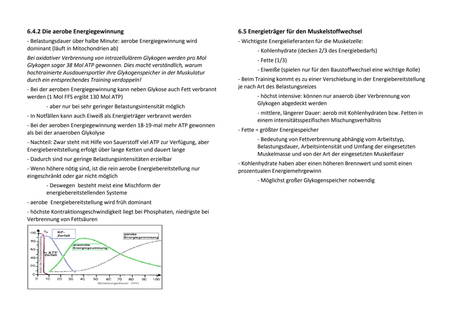1. Biologische Gesetzmäßigkeiten
1.1 Adaption und Superkompensation
- Planung und Durchführung eines Training nur gezielt und
leistungsoptim
