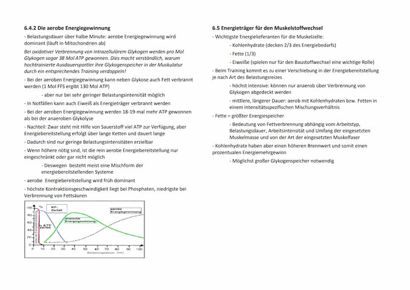 1. Biologische Gesetzmäßigkeiten
1.1 Adaption und Superkompensation
- Planung und Durchführung eines Training nur gezielt und
leistungsoptim
