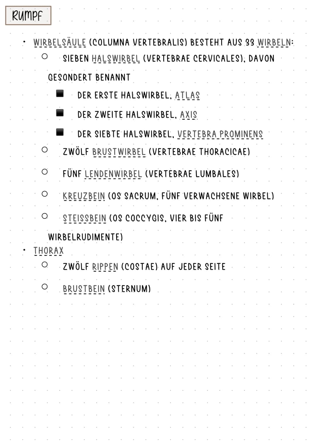 SCHLÜSSELBEIN
RIPPE
KIEFER
WIRBELSÄULE
OBERSCHENKELKNOCHEN
WADENBEIN
ZEHENKNOCHEN
SKELETT
HOODED
SCHÄDEL
OBERARMKNOCHEN
ELLE
SPEICHE
BECKEN

