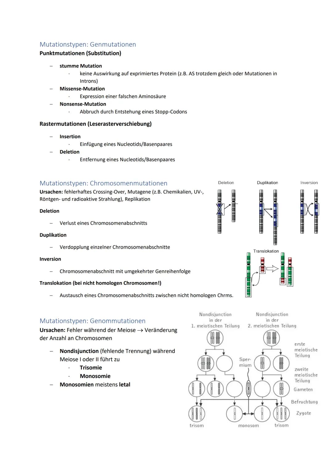 DNA und RNA- Grundlagen
antiparalleler, komplementärer Doppelstrang 5'
bei Eukaryoten um Histone gewickelt, bei
Prokaryoten ringförmig
Genet