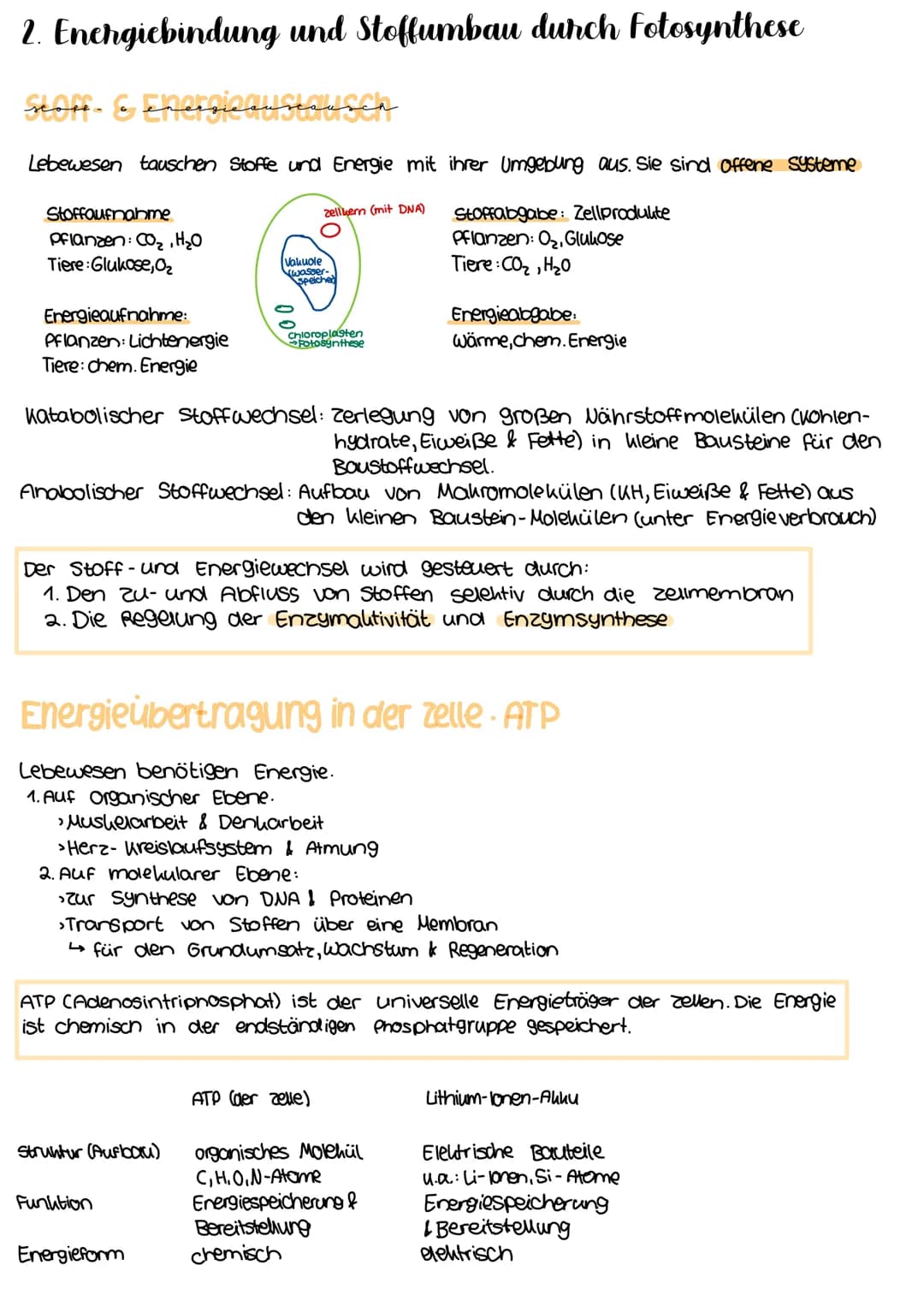<h2 id="stoffundenergiewechselinderbiologie">Stoff- und Energiewechsel in der Biologie</h2>
<p>Lebewesen tauschen Stoffe und Energie mit ihr